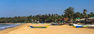 Goa Experience