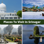 Places to visit in Srinagar