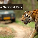 Panna National Park