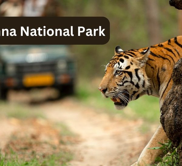 Panna National Park