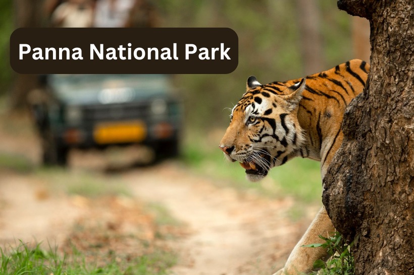 Panna National Park