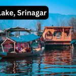 Dal Lake Srinagar