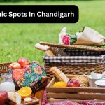 Picnic Spots In Chandigarh