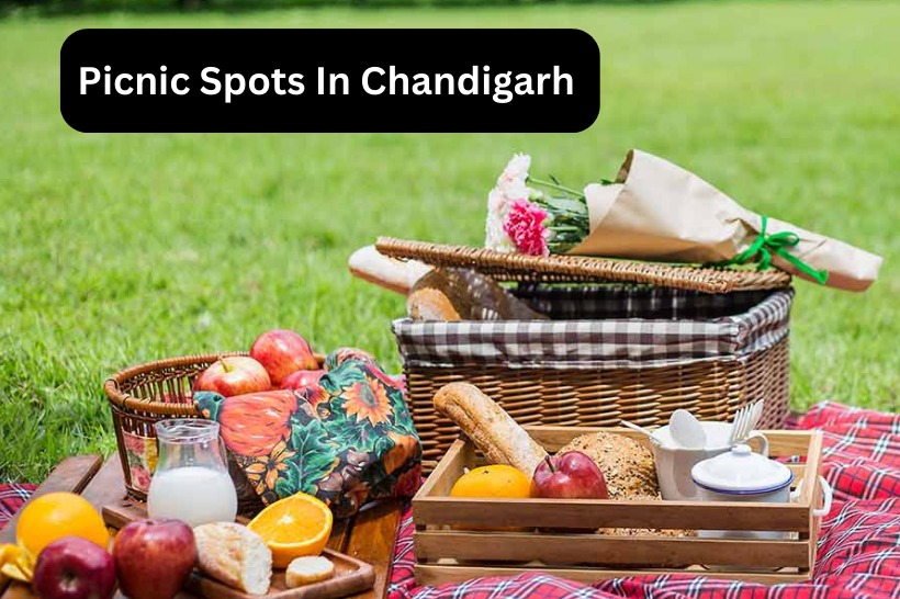 Picnic Spots In Chandigarh