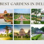 Best Gardens In Delhi