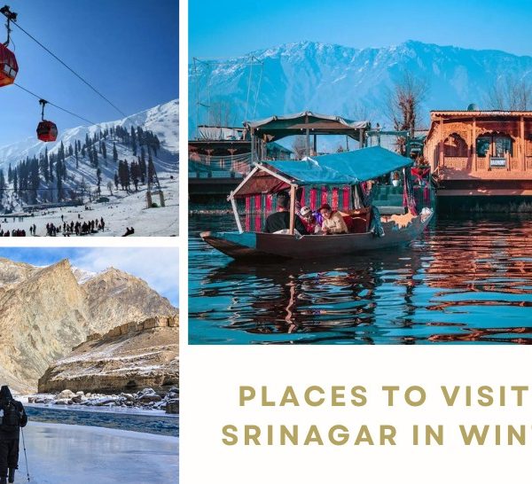 Places to Visit in Srinagar in Winter