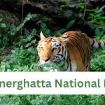 Bannerghatta National Park